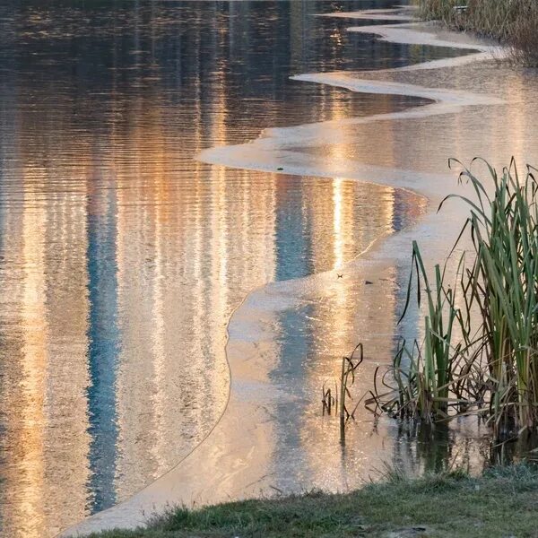 Зеркало воды. Зеркало воды в реке это что. Зеркальная вода. Впереди блеснуло впереди чистое зеркало воды. У всего живого есть свои сокровенные тайны