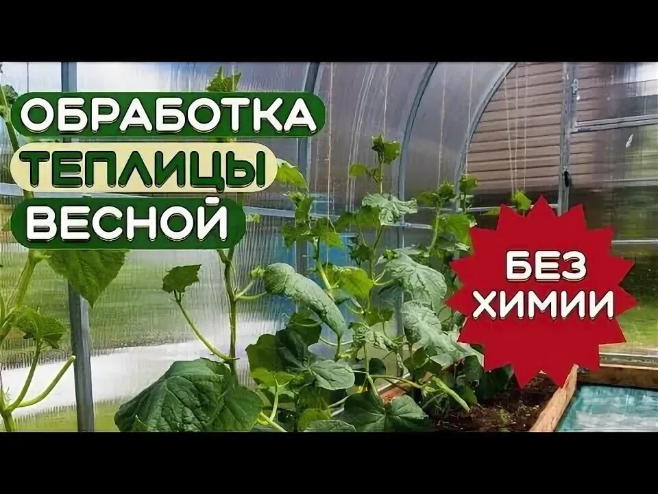 Мытье теплицы. Обработка теплицы хозяйственным мылом. Подготовка теплицы весной к новому сезону коротко. Обработка теплицы хозяйственным мылом. Фармайод инструкция.