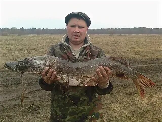 Погода ичетовкины