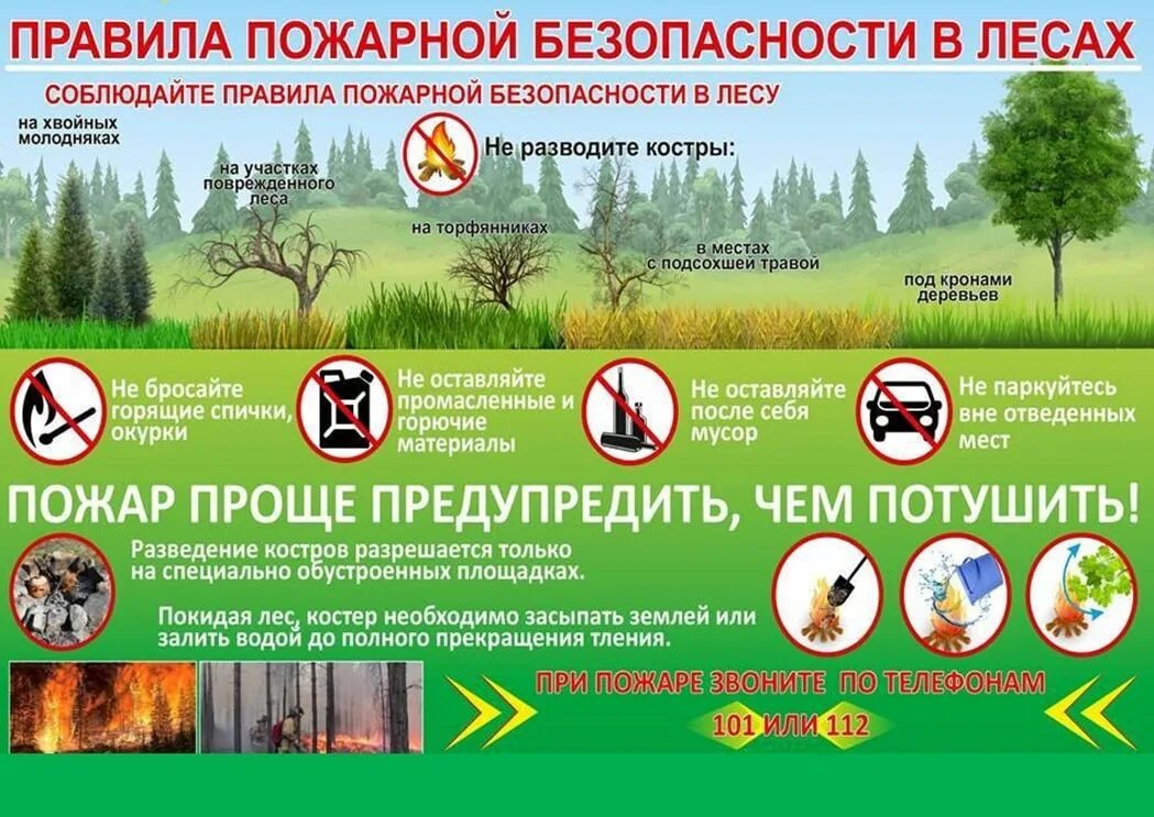 Ппб в лесах. Пожарная безопасность в лесу. правила пожарной безопасности в лесу. профилактика пожарной безопасности в лесу. пожарная безопасность в лесах памятка.