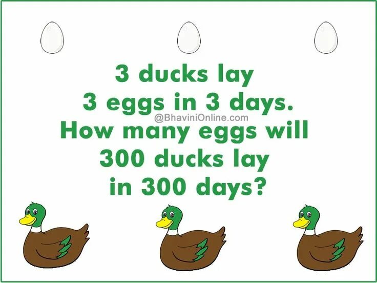 How many eggs is are there. How many eggs картинки. how many eggs. riddle about ducks. how many eggs do females lay each year.