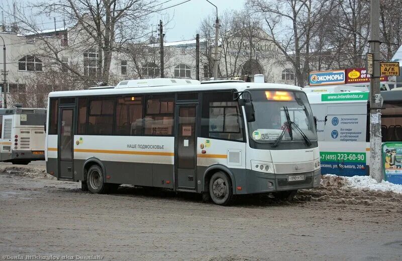 22 автобус пушкино. 509 автобус пушкино. Автобус 377 пушкин. Автобусы до пушкинского. Оранжерейная 19 пушкино.