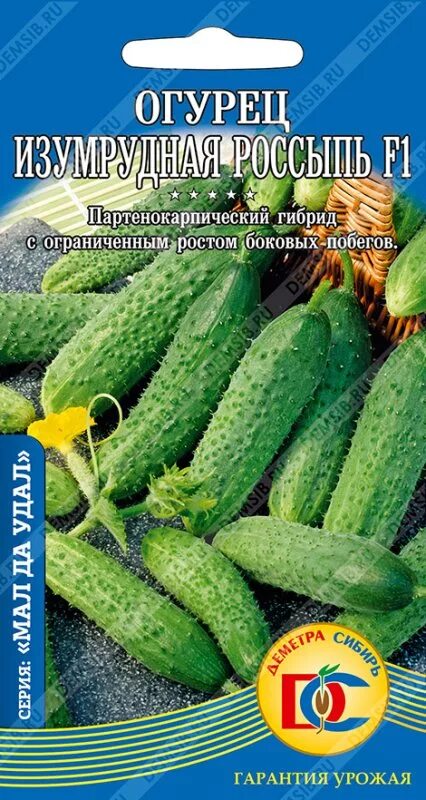 Изумрудная россыпь огурец описание. Огурцы изумрудная россыпь отзывы. Огурец изумрудная россыпь 12шт. Огурец атос f1 описание. Огурец изумрудная россыпь.