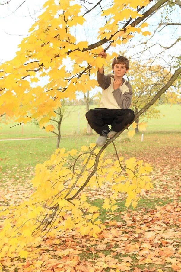 Среди листьев идет историк. Мальчик стоит за деревом. Мальчик, залегший на толстой ветке среди листвы, целится камушко. Позы для фото в школьном альбоме для мальчика стоя.