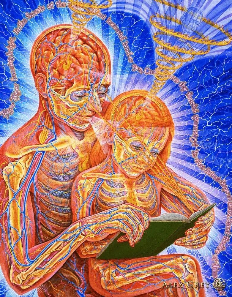 Кармическая карма. Художник Алекс грей Alex Grey. Алекс грей визионер. Алекс грей роды. Ваджра Алекс грей.