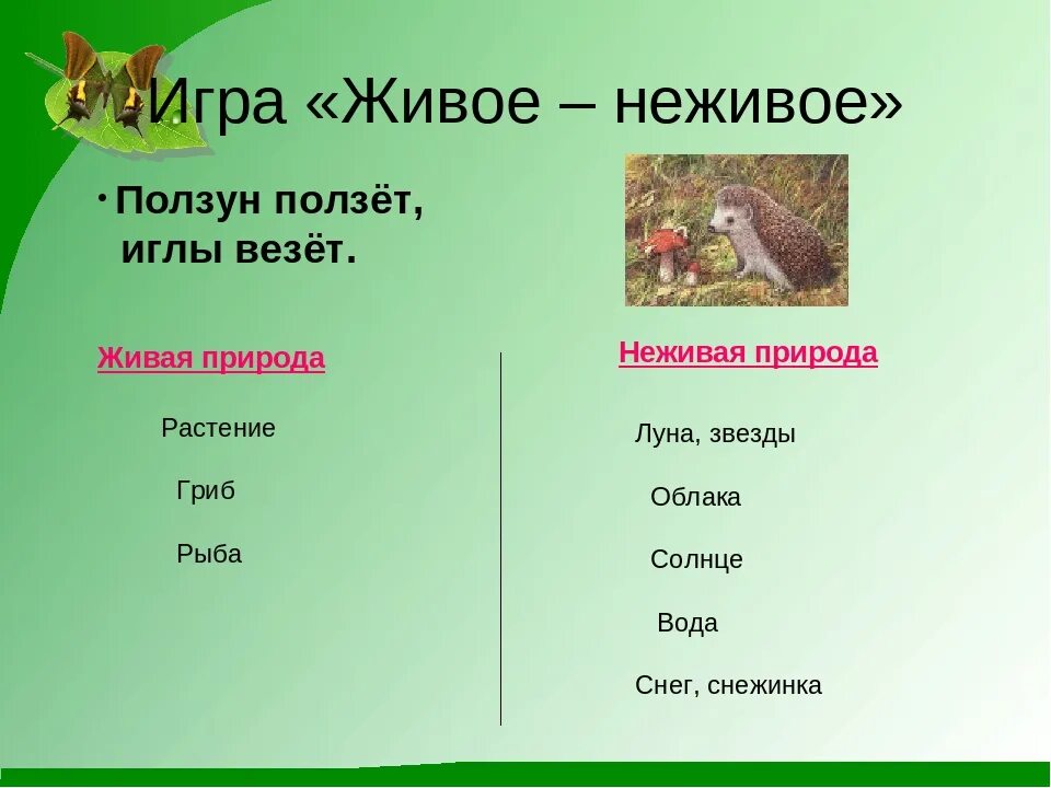 Как отличить живую. Тела неживой природы. Звезда Живая или неживая природа. Живая и неживая природа 2 класс. Тела живой природы.