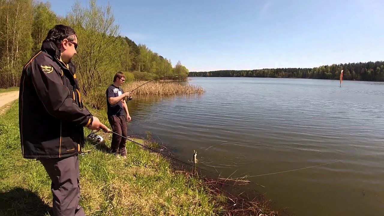 Рыбалка в трубицино. Рыбхоз Гжелка Нагульный пруд. Река Гжелка в Раменском районе рыбалка.