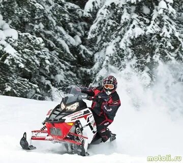 Switchback pro r