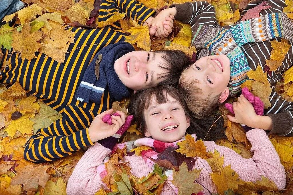 Куда сходить на осенних каникулах. Осень дети школа. Дети на улице осенью. Осенний лагерь в школе. Куда сходить на осенних каникулах.