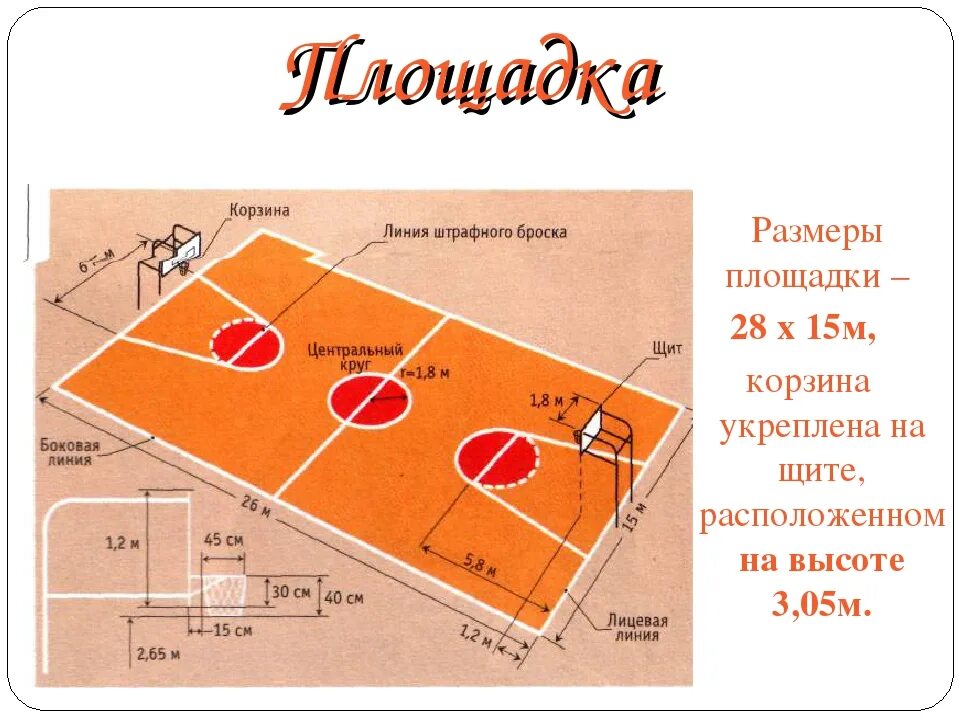 Сколько игроков может находиться на баскетбольной площадке