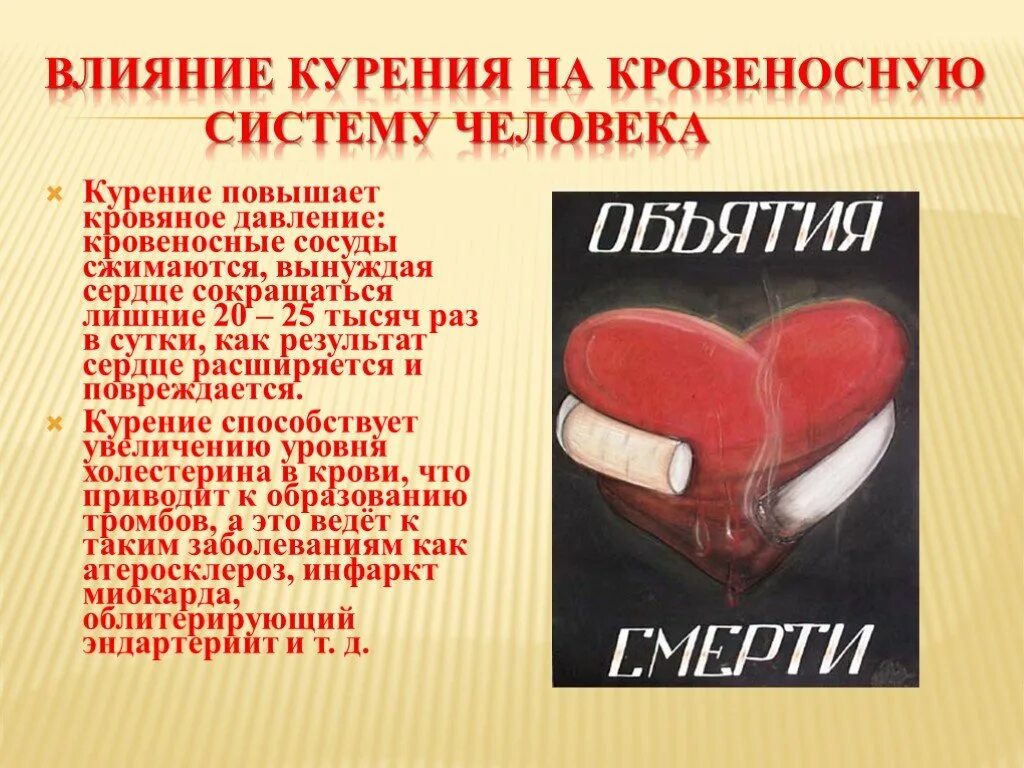 Бросил курить сосуды. Влияние никотина на кровеносную систему. Влияние курения на сердце и сосуды. Влияние курения на сердце. Влияние табакокурения на кровеносную систему.