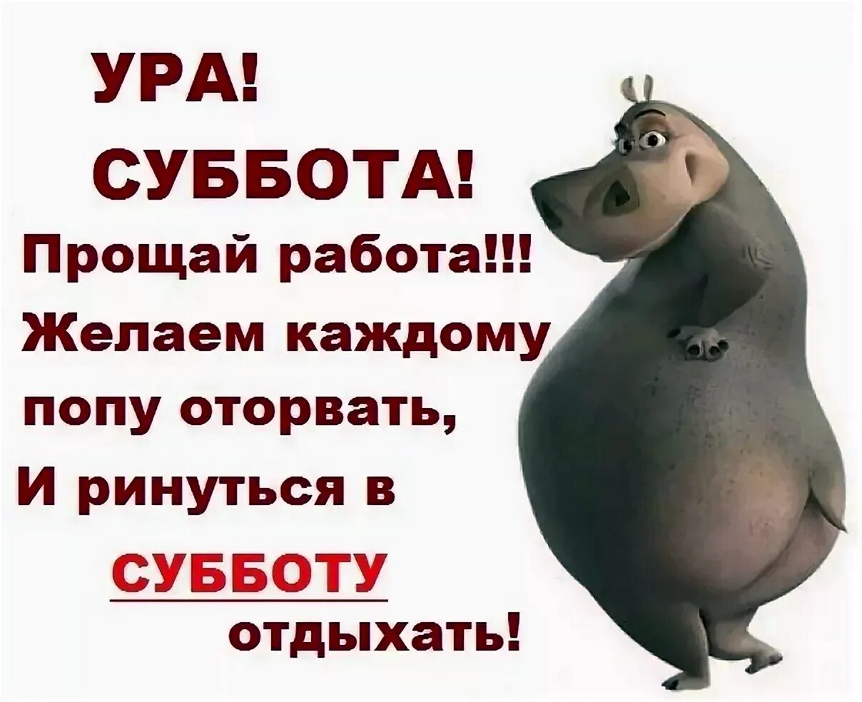 Суббота как правильно. Суббота приколы. Суббота картинки прикольные. Суббота цитаты прикольные. Цитаты о субботе с юмором.