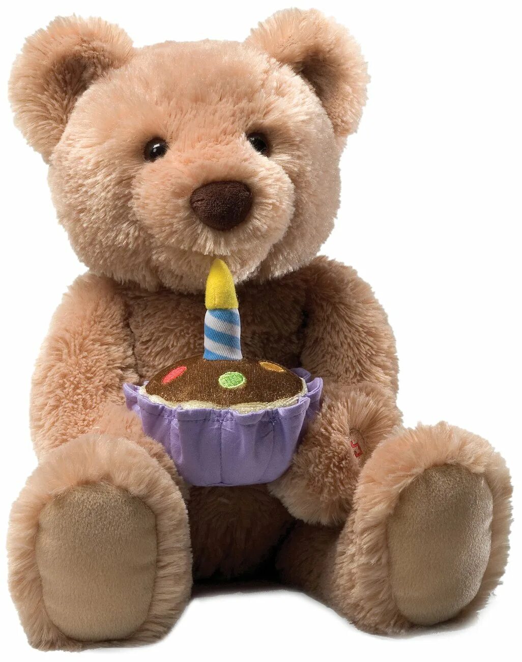 Покажи игрушку на день рождения. Плюшевые игрушки. Мишка с подарками. Мягкие игрушки на день рождения. Медвежонок с подарком.