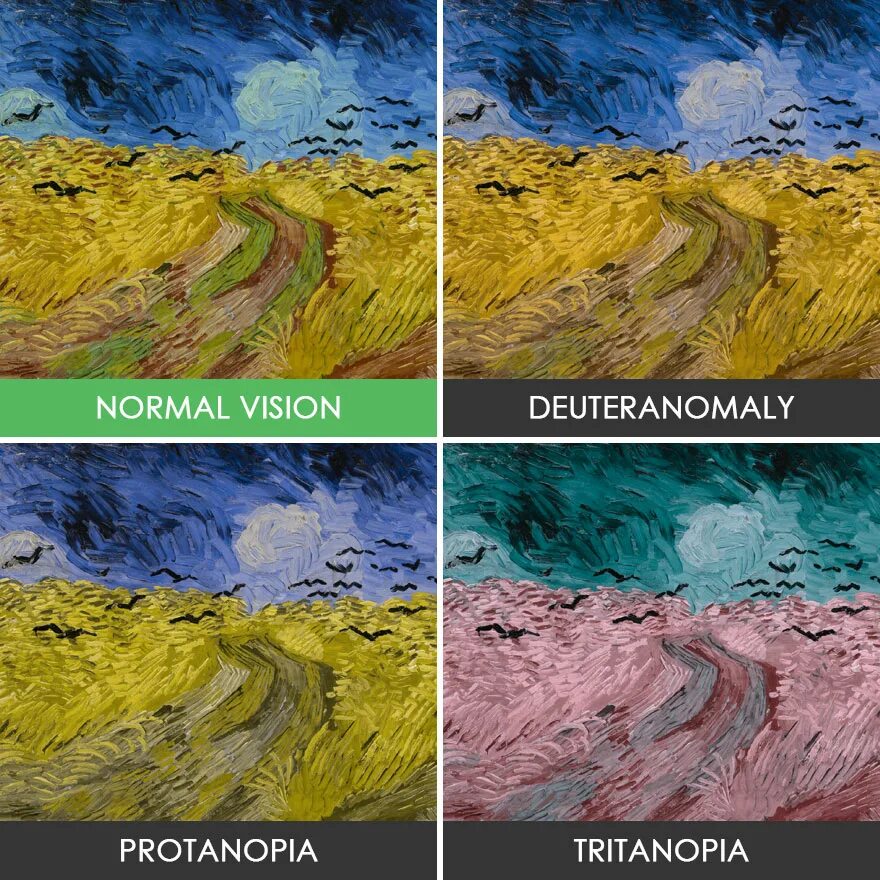 Мир глазами кошки. Цветовое зрение у животных. Как выглядит мир глазами дальтоника. Мир глазами человека. Как в дят мир дальтоник.