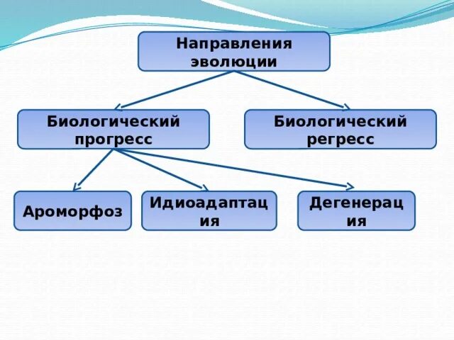 Главное направление биологической эволюции. Направления эволюции. направления эволюции биология. направление эволюции биологический прогресс биологический регресс. основные направления эволюции регресс.
