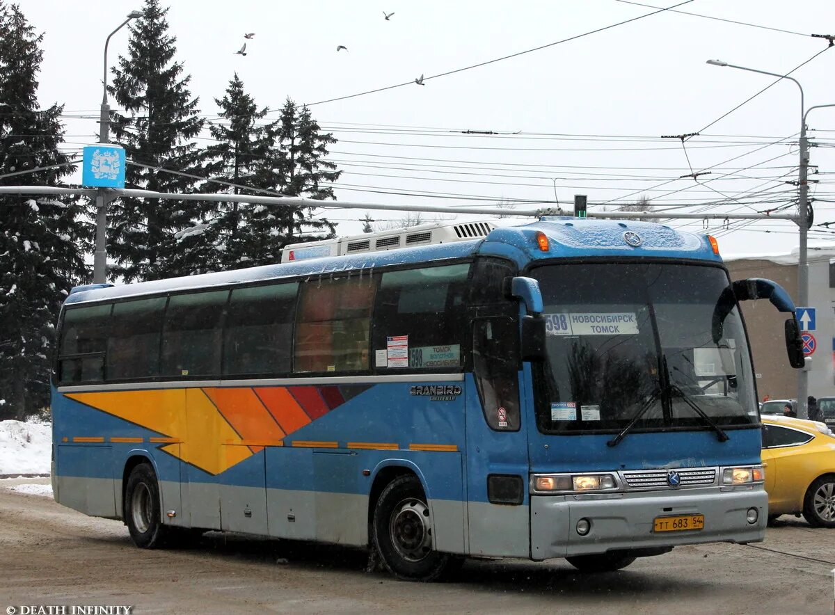 Новокузнецк новосибирск автобус купить. Kia Granbird (43), тт683 54. Автобус Новосибирск. Автобус Томск. Томск Новокузнецк автобус.