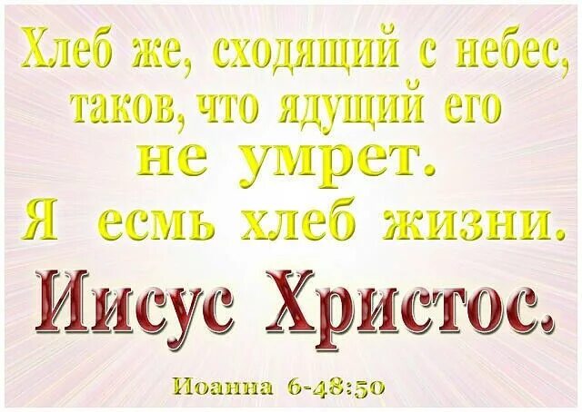 Сходи за хлебом магазин. Я есмь хлеб жизни. Иисус есть хлеб жизни. Я есмь хлеб сшедший с небес. Иисус я есть хлеб жизни.