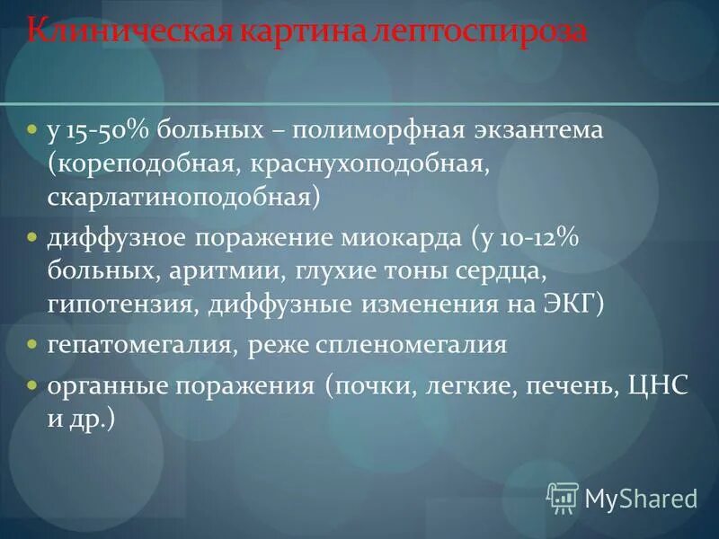 Лептоспироз почки. Лептоспироз потенциальные проблемы. проблемы пациента при лептоспирозе. лептоспироз осложнения. независимые сестринские вмешательства при лептоспирозе.