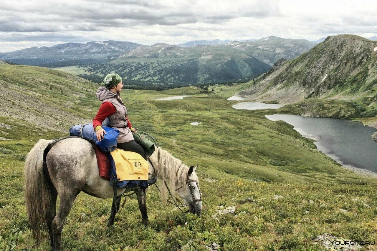 Конный поход горный Алтай. Конные прогулки горный Алтай. Алтайский край конный туризм. Конный туризм на Алтае.