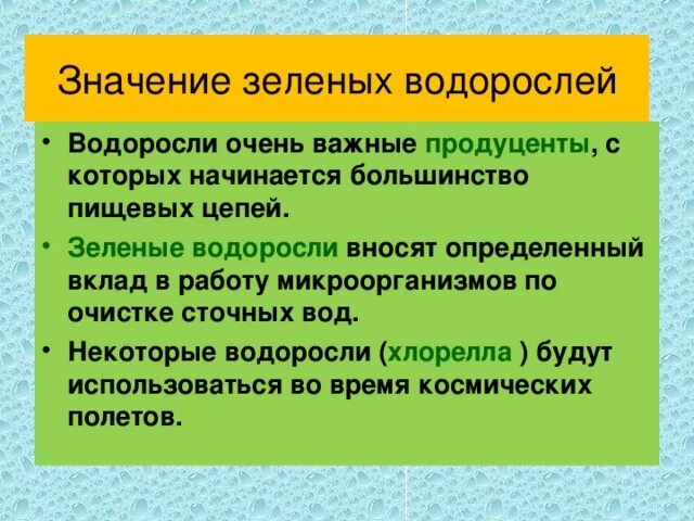 Сообщение о значении водорослей