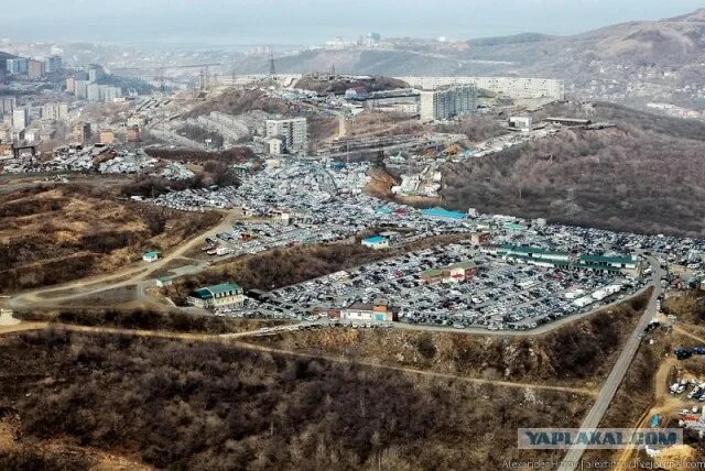 Зеленый угол владивосток фото Картинки ЗЕЛЕНЫЙ УГОЛ СЕЙЧАС