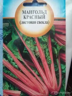 Листовая свекла семена