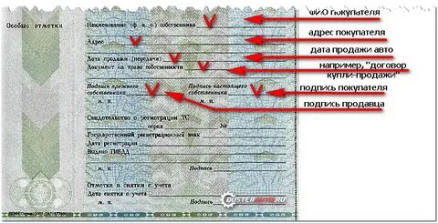 Как узнать владельцев по птс