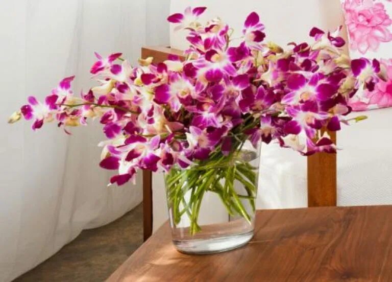 Орхидея срез. Орхидея срезанная. Орхидея в срезке. Цветы долго стоят.