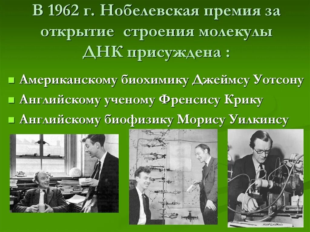 История открытия структуры днк. Нобелевская премия за открытие днк. Уотсоном и ф. Нобелевская премия за открытие днк. Нобелевская премия по химии за 2015.