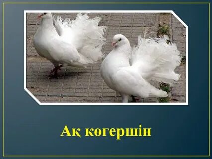 Үйде трусиктердегі жетілген жастағы мастурбация