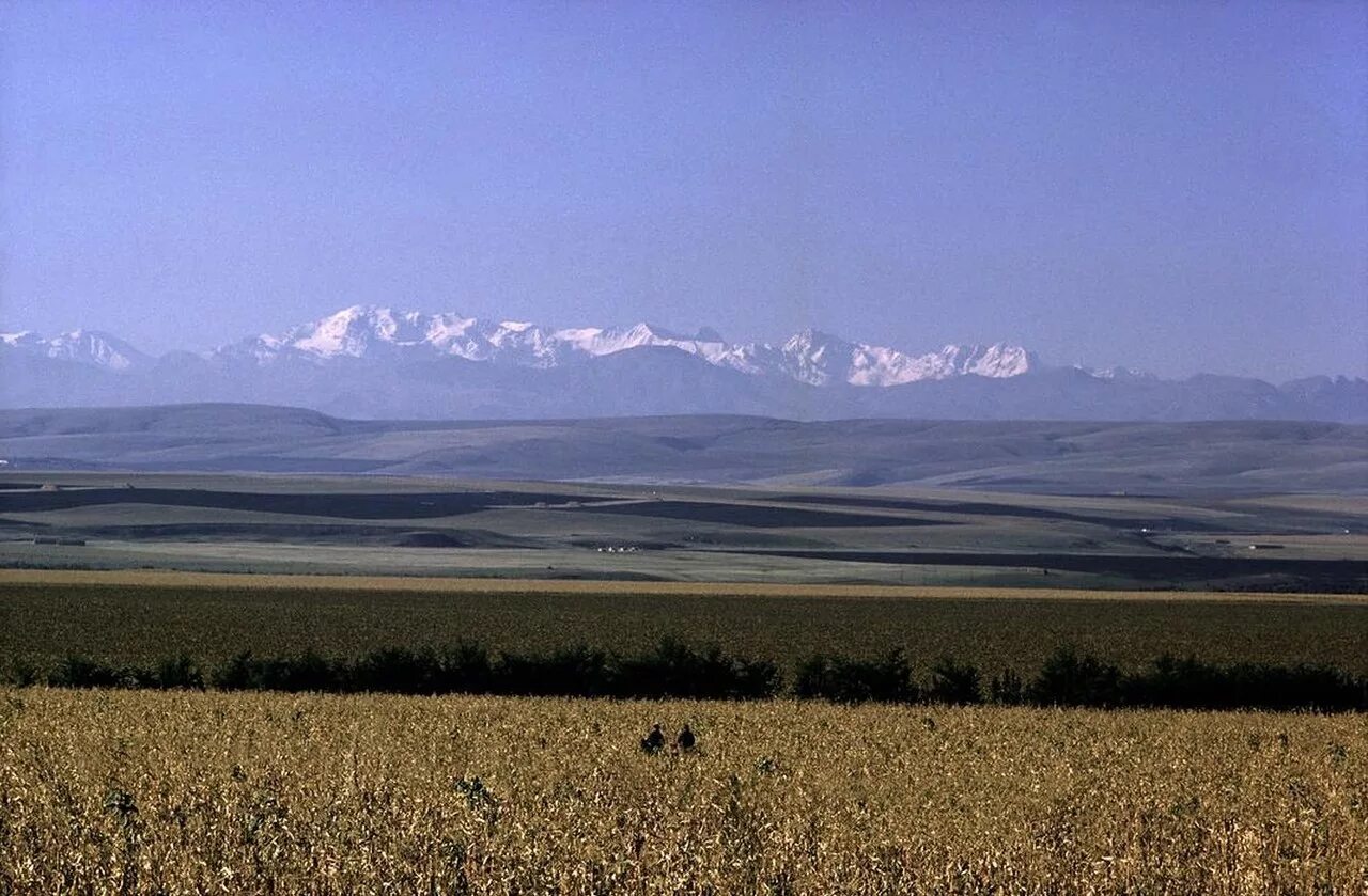 равнины ставропольского края. равнины предкавказья. западное предкавказье. равнины предкавказья. равнины на территории предкавказья.