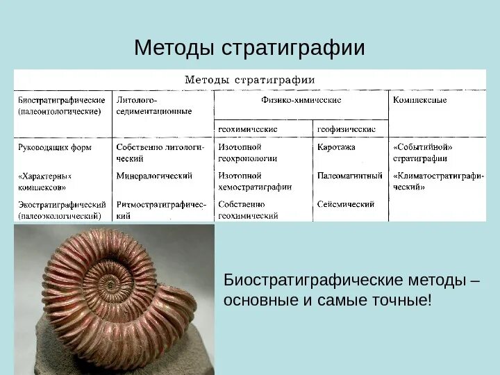 Методы изучения ископаемых животных. Методы стратиграфии. палеонтологические методы. стратиграфический метод в археологии. палеонтологический метод исследования.