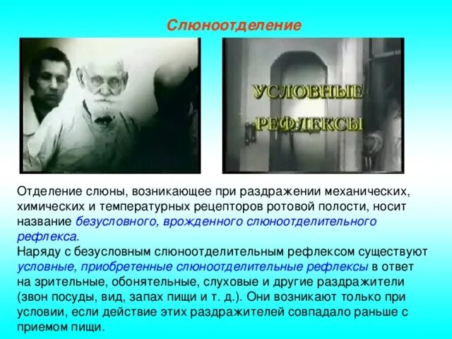 Отделение слюны возникающее при раздражении. Отделение слюны возникающее при раздражении рецепторов. Рефлексы при раздражении рецепторов ротовой полости. Рефлексы миостатический полости рта.