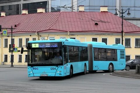 66 автобус спб