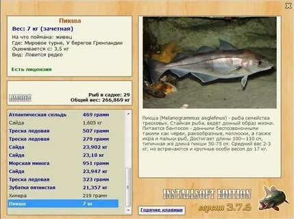 Рыба пикша описание