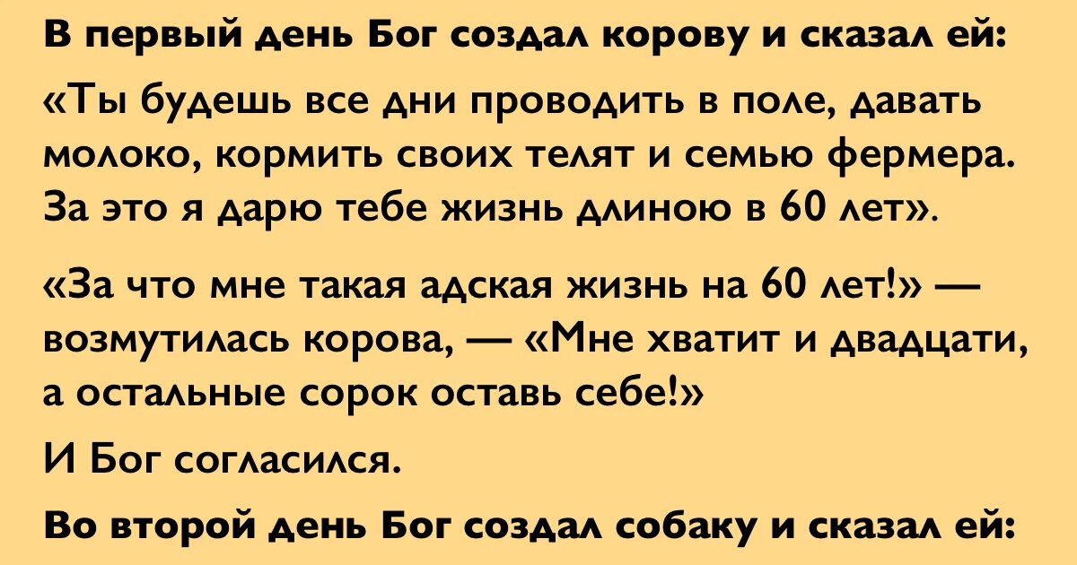 Притча о годах жизни человека и животных. Анекдоты про Бога. Самая мудрая притча, которую я читала за последнее время. Притча про года человека и животных. Годы жизни притча