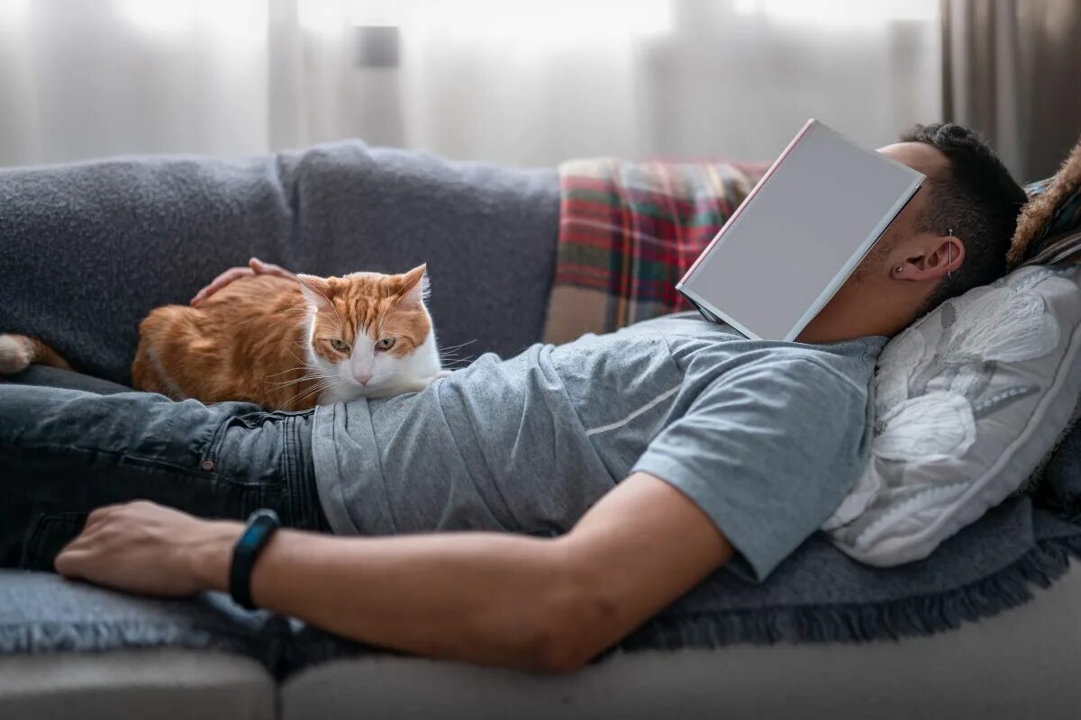 Lay the cat. Мужчина с котом на диване. man with cat on the sofa. кошка на диване с драйин эффектгм. lying on sofa cat.