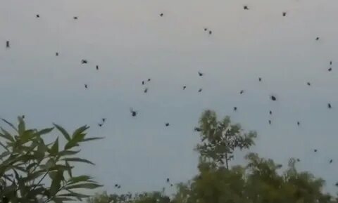 Падающее с небес 6