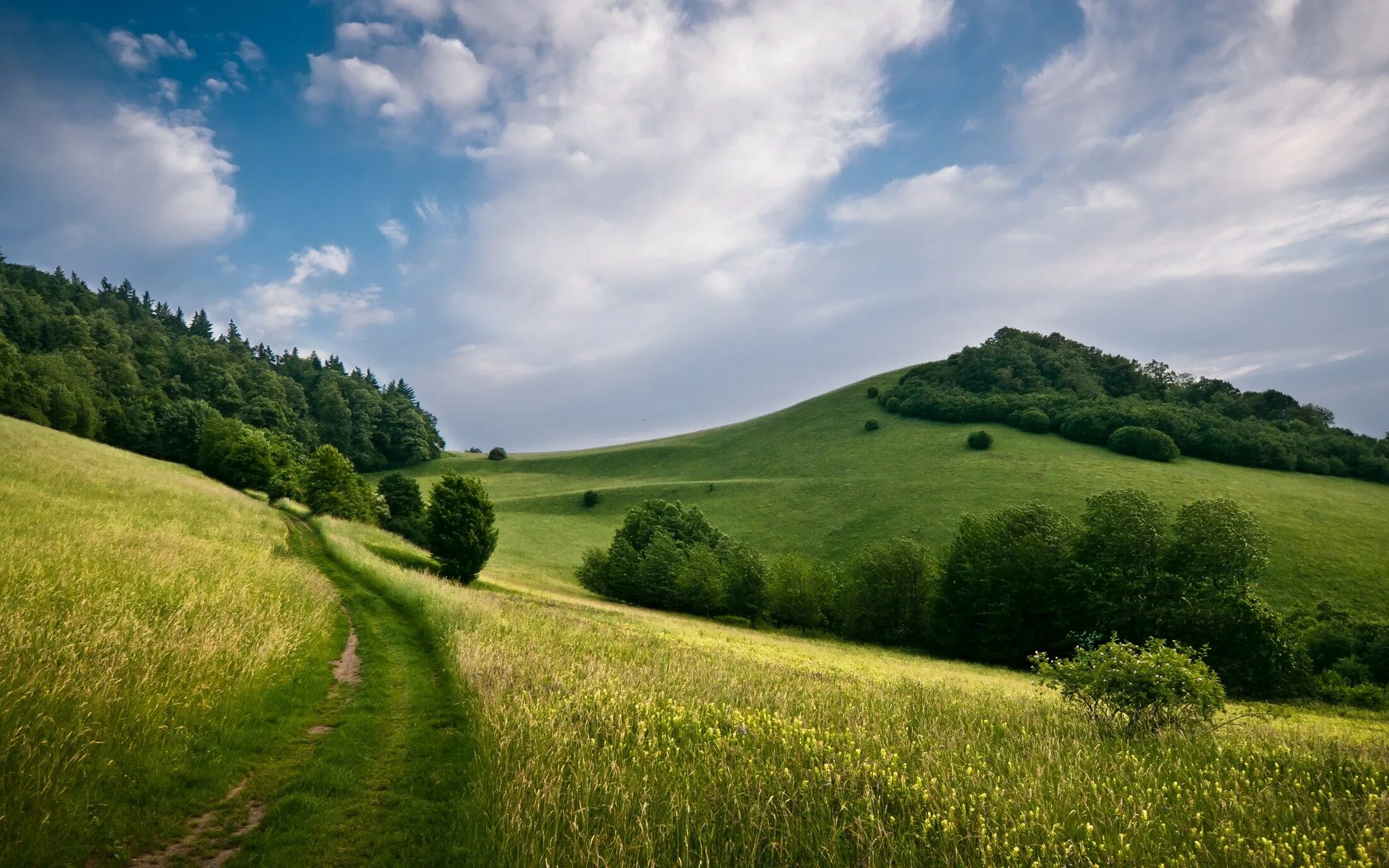 Луга тропа лес. Холмы и Долины. 1200--1920 Луг,горы Горизонт. Зеленые холмы 212525. Холм живая природа