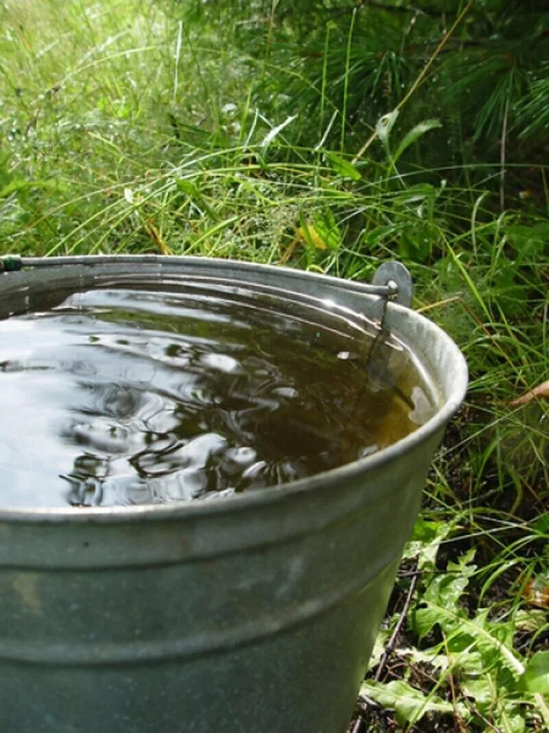 Бездонное ведро воды. Ведро с водой. Тазик с водой. Bedro c vodoi. Ведро с колодезной водой.