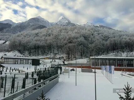 Гала плаза красная