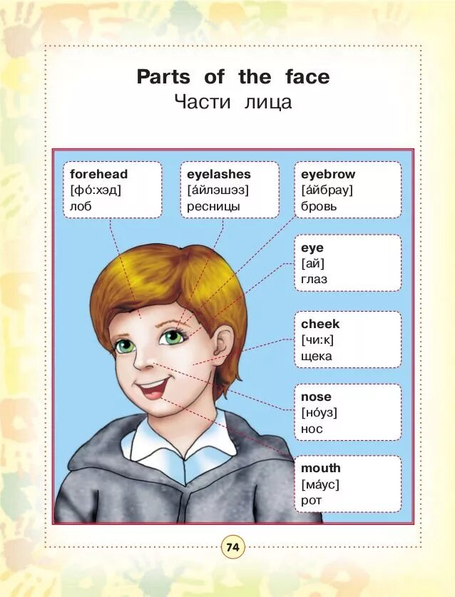 Части лица на английском. Части лица по английскому произношение. Части тела на англ с транскрипцией. Лексика на тему лицо на английском.