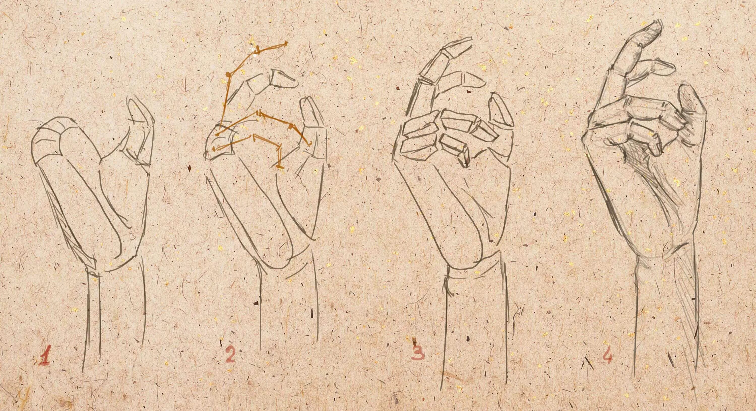 Рука рисунок. Уроки рисования рук. Анатомия рук для рисования. Наброски кистей рук.