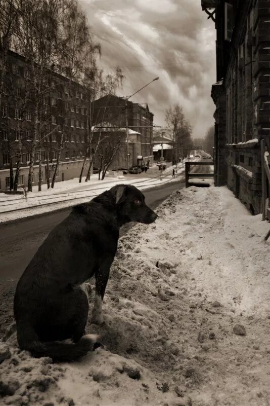 Человек на обочине арт. Картинка обочина жизни человека. Человек на дороге. Жизнь на обочине рассказ. Иллюстрация к стихотворению в дороге.