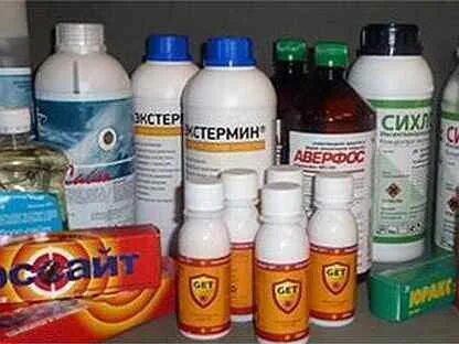 От клопов средства в квартире самостоятельно эффективные
