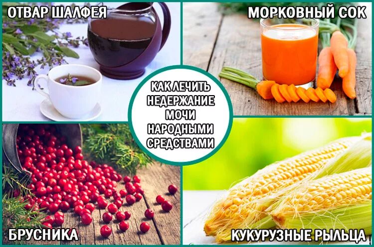 Народная медицина недержание мочи. Народные методы лечения недержания мочи. Чай при недержании мочи. Травяной сбор от недержания мочи у женщин. Народное средство от моченедержания.