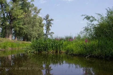 Протока между