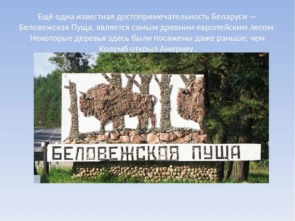 Достопримечательности белоруссии 3 класс. Беларусь беловежская пуща заповедник. достопримечательности в беловежской пуще. памятник природы беловежская пуща. беловежская пуща презентация.