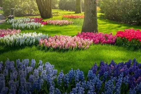 We a beautiful garden