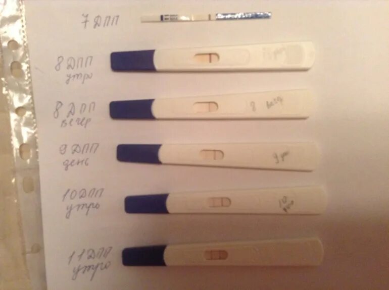 Тесты на беременность после подсадки эмбриона. Тесты на беременность на 5 ДПП эмбрионов. Тесты на беременность после эко трехдневок. Тест на беременность криопереноса. Тесты после переноса.